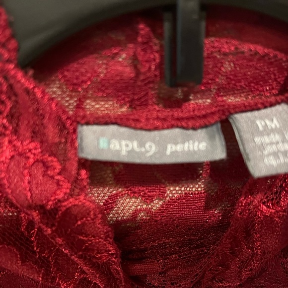 Apt. 9 Deep Red Lace Mock Neck Blouse with cami - Picture 2 of 4